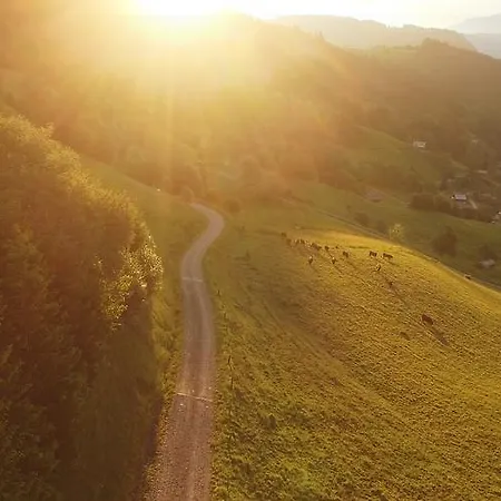 Entre Terre Et Ciel *