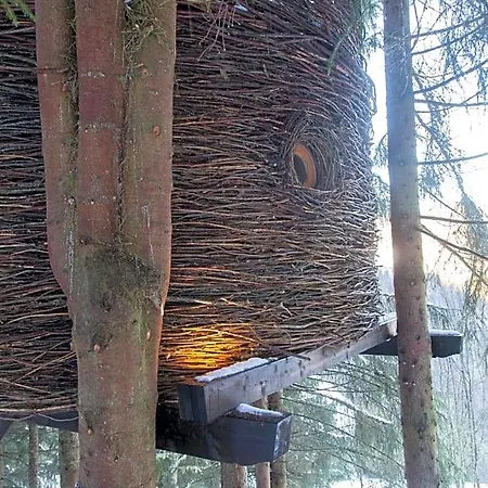 山林小屋 卡班希尔树屋